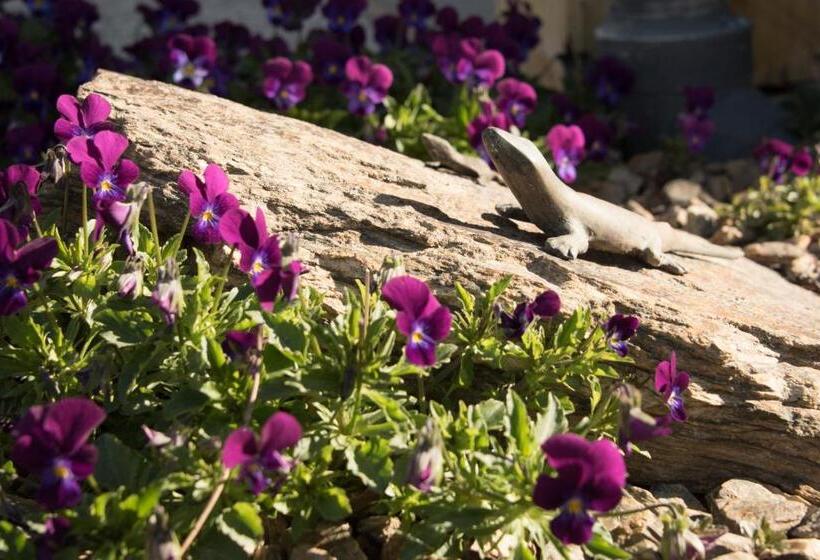 مبيت وإفطار Grey Ridge Vineyard Experience