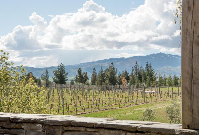 مبيت وإفطار Grey Ridge Vineyard Experience