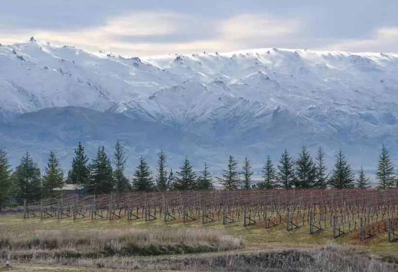 Aamiaismajoitus (B&B) Grey Ridge Vineyard Experience