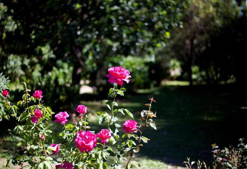 ペンション Andelomi Nature's Rest