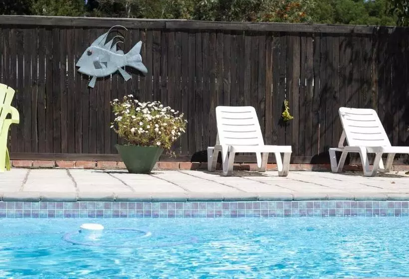 Majatalo Andelomi Nature's Rest