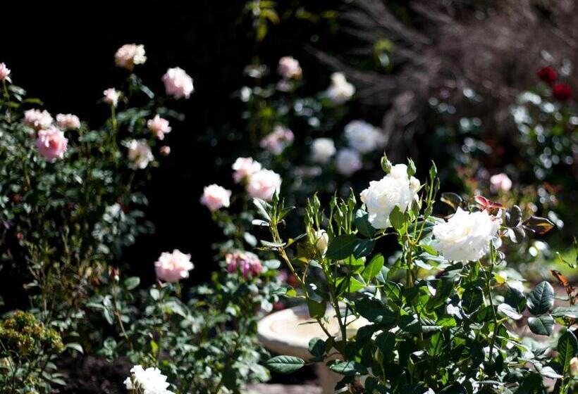 بنسيون Andelomi Nature's Rest