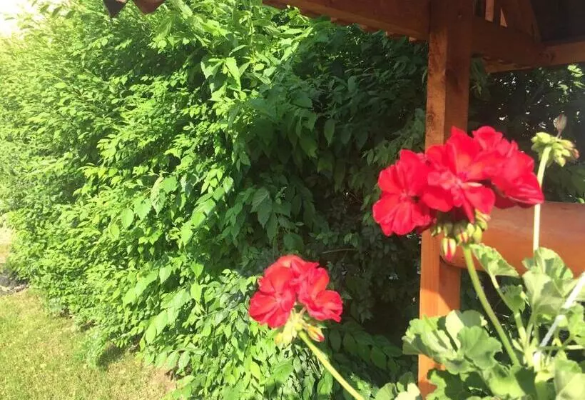 ペンション Casa Green Garden