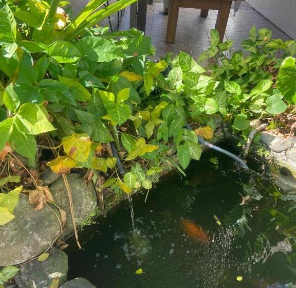 ペンション Chales Marissol