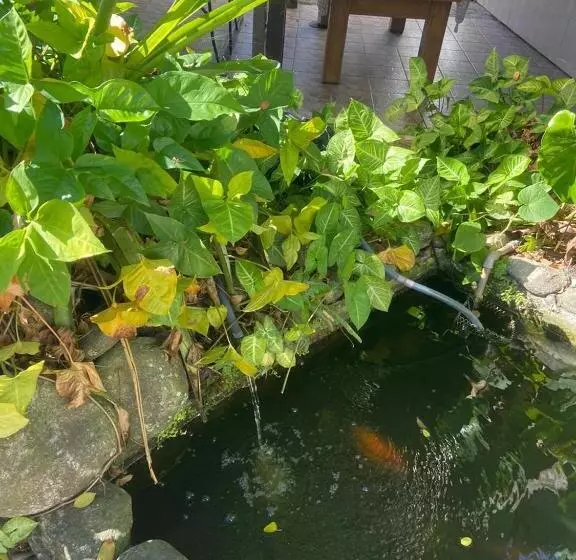ペンション Chales Marissol