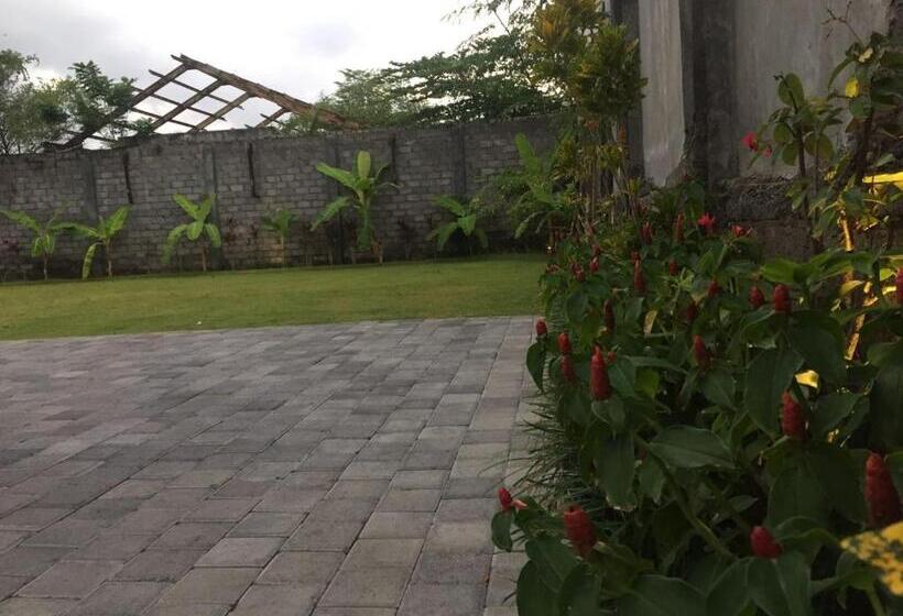 ペンション Dikubu Belong Seminyak