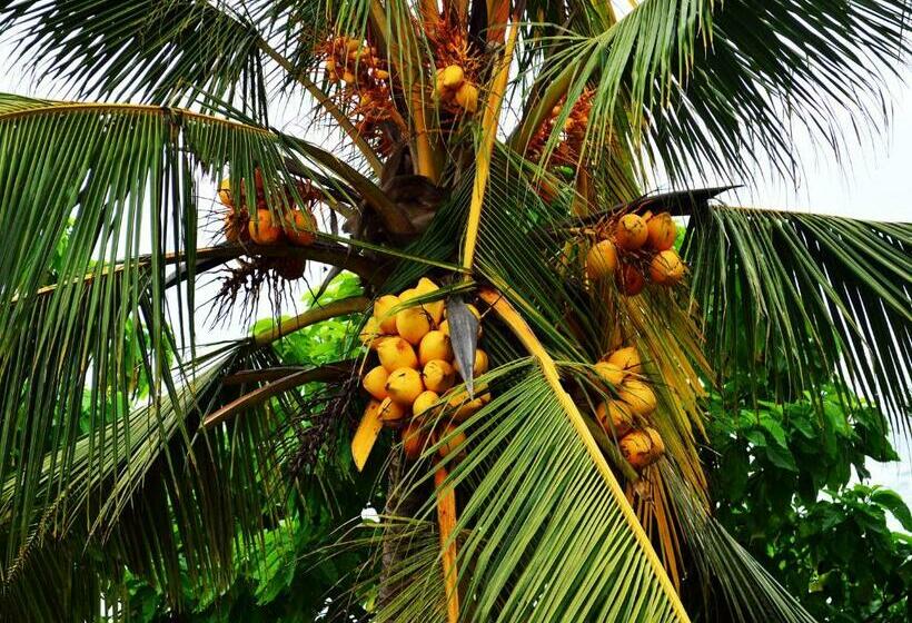 Pensione Summer Breeze