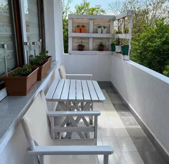 پانسیون White Guest House 2