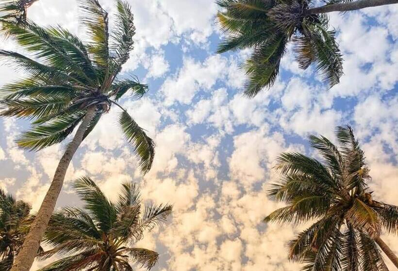 ユースホステル Posada Salt Creek