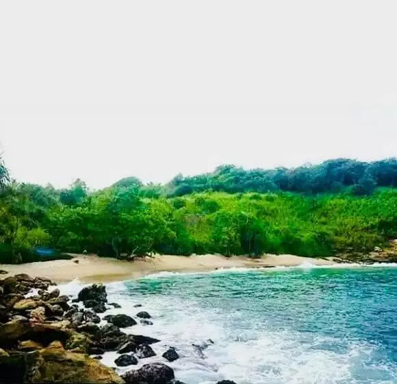 هتل Amour Surf
