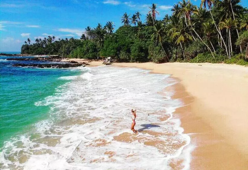 هتل Amour Surf