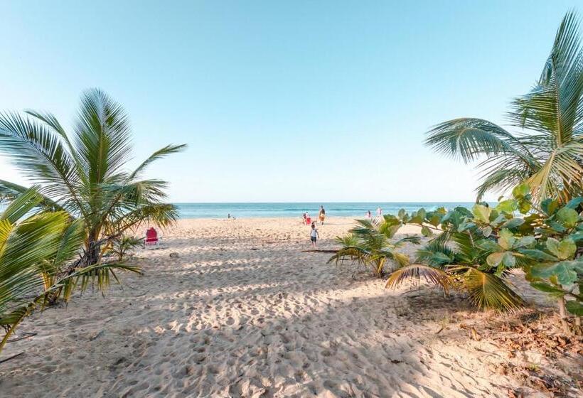 هتل Discovery Inn & Suites At 681 Ocean Drive