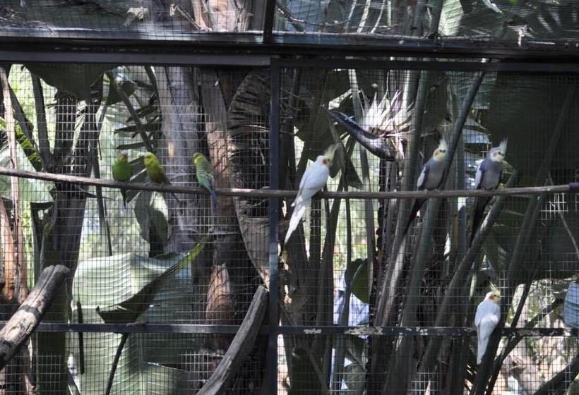 Pensió A Knights Rest Guesthouse