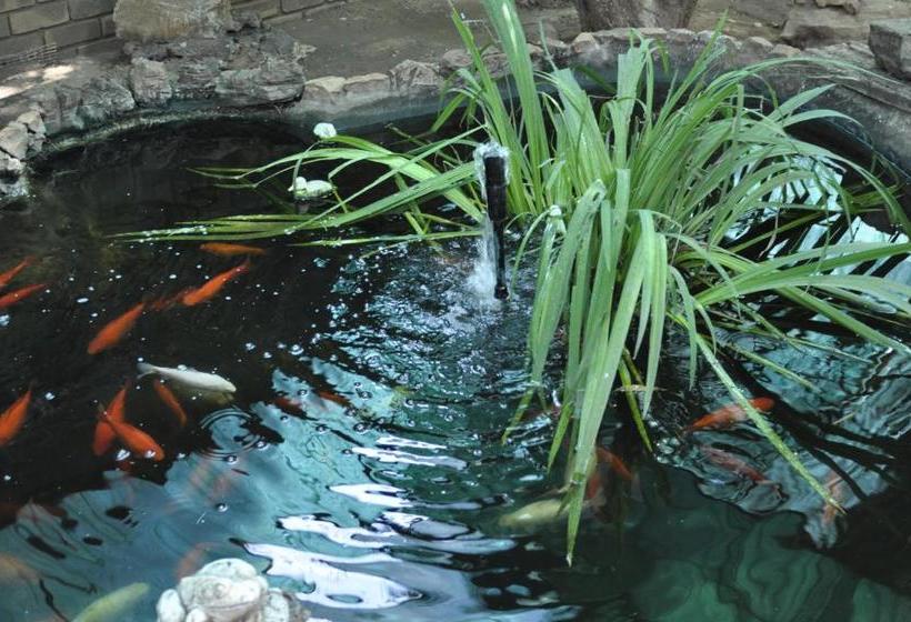 Pensió A Knights Rest Guesthouse