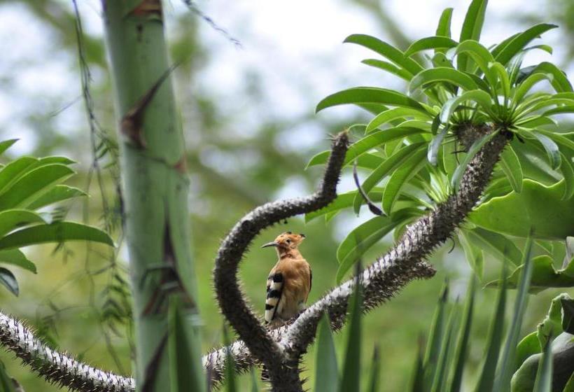 Pensió A Knights Rest Guesthouse