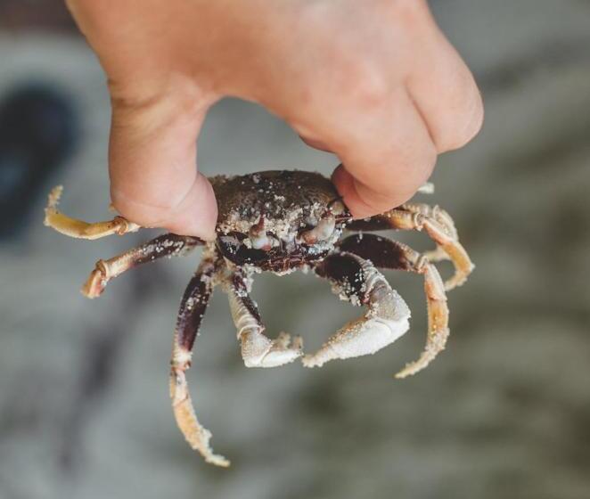 Pansiyon Bayview Sunset