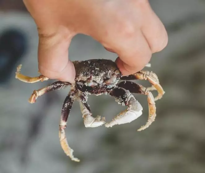 Majatalo Bayview Sunset