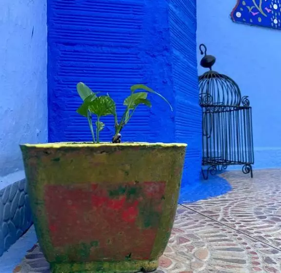 Majatalo Dar Besmellah