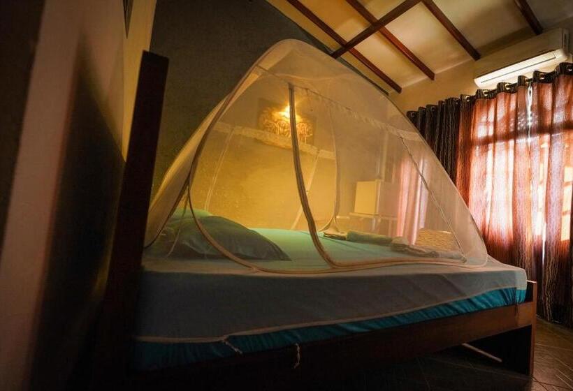 Pensione Lilly Palace Villa Guest House