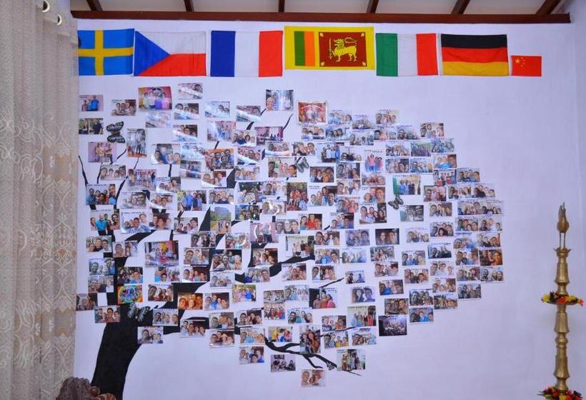 Pensione Lilly Palace Villa Guest House