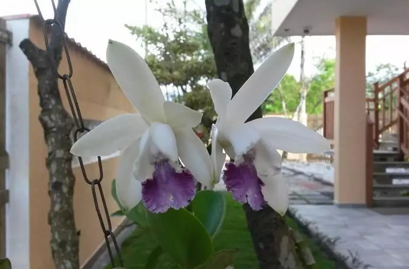 ペンション Pousada Canto Da Praça