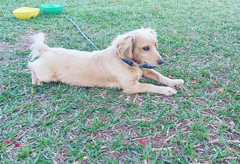 Majatalo Pousada Canto Dos Pássaros