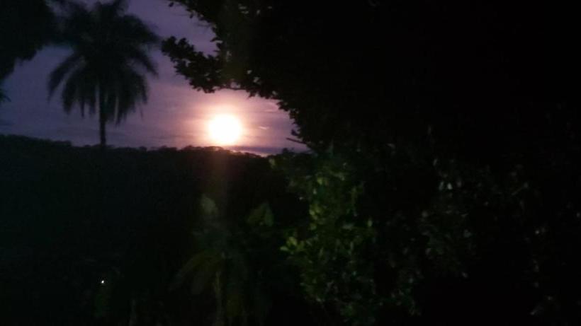 Pansiyon Pousada Canto Dos Pássaros