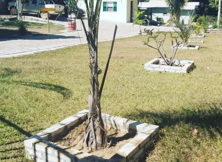 Majatalo Pousada Canto Dos Pássaros