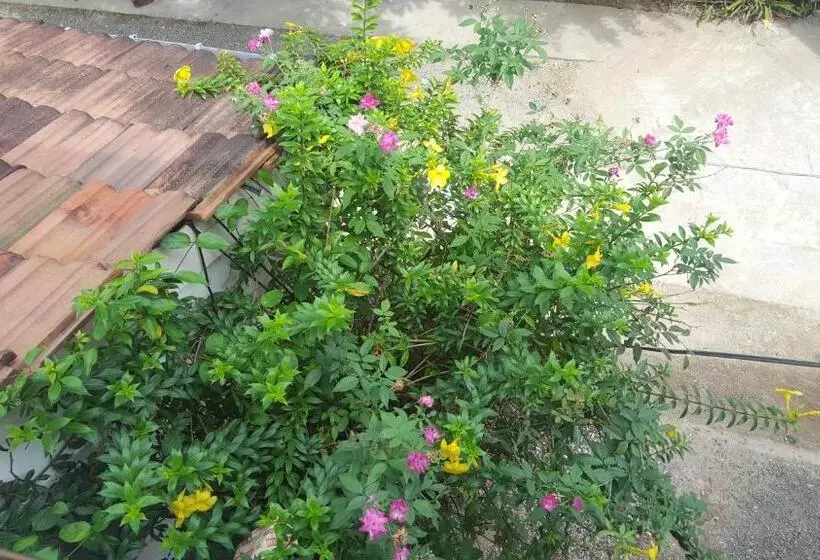 ペンション Samudra Guest House
