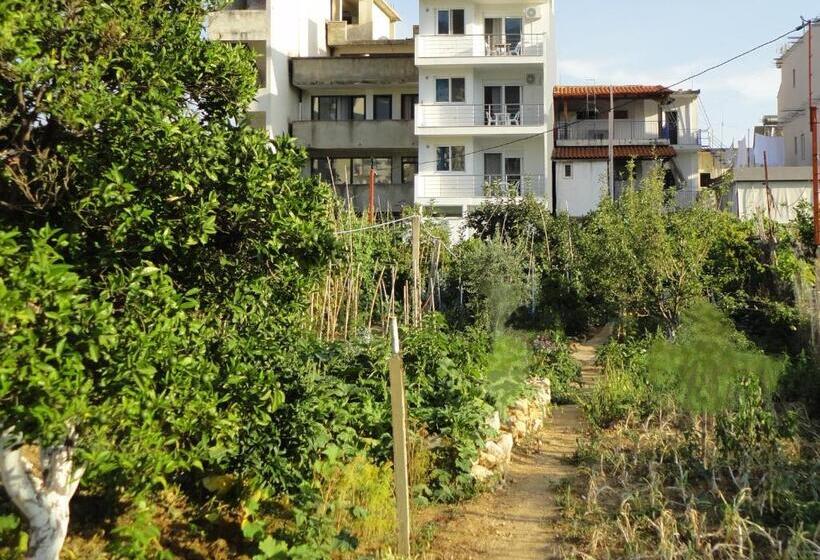 پانسیون Spiro Guest House