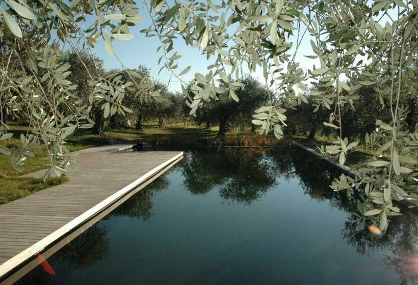 هتل Agriturismo Tenuta La Pergola