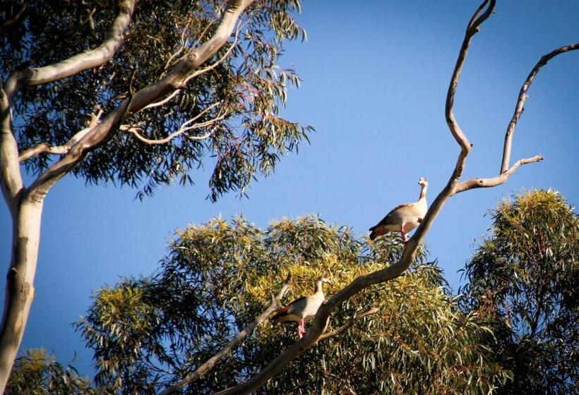 فندق Kweekkraal Guest Farm