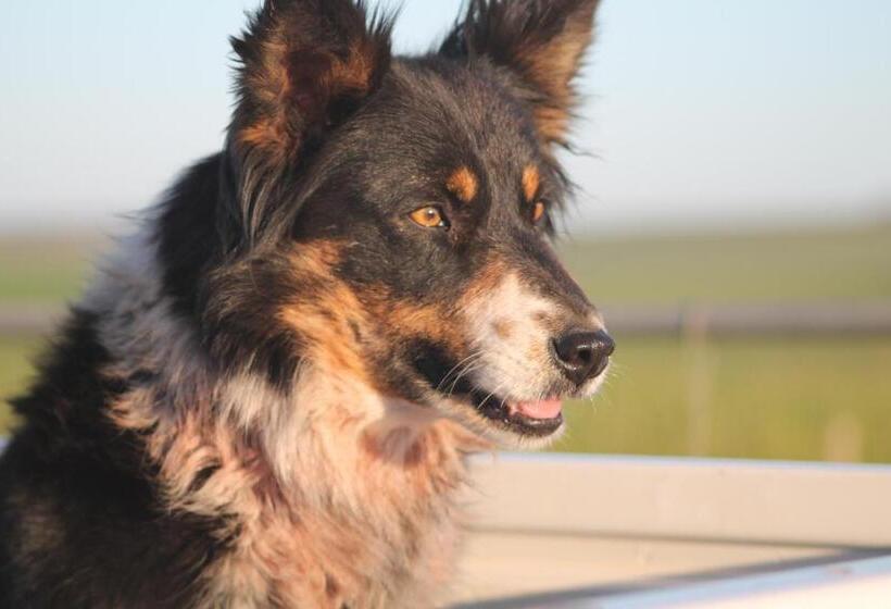 فندق Kweekkraal Guest Farm