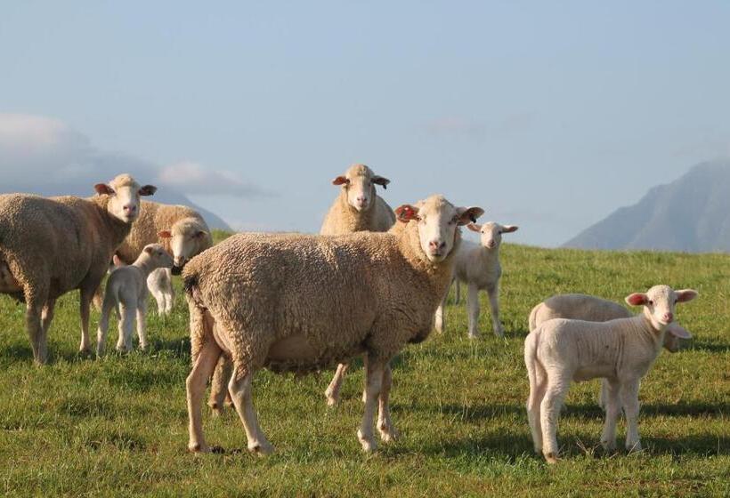 فندق Kweekkraal Guest Farm