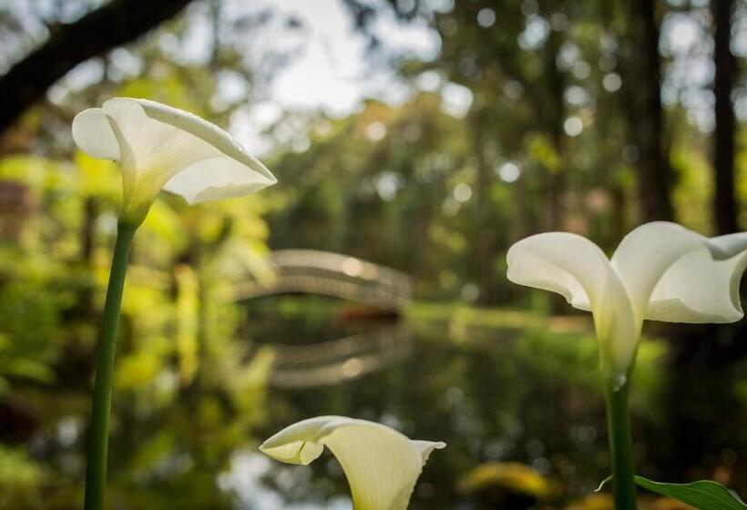 Pensjonat Estalagem Spiller