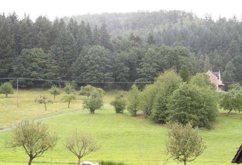 Pensió Gästehaus Alexanna