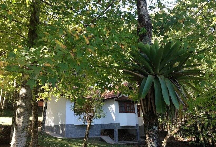 بنسيون Hospedagem Spa Da Alma