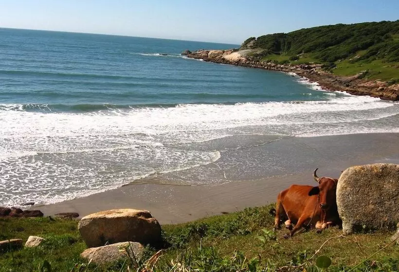 ペンション Pousada Morro Das Palmeiras