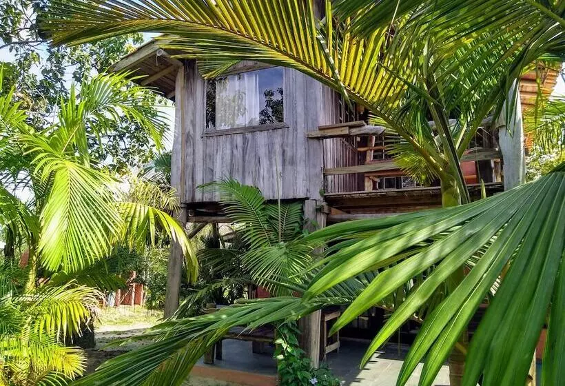 ペンション Pousada Morro Das Palmeiras