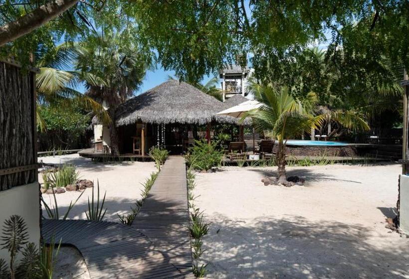 פנסיון Terra Patris