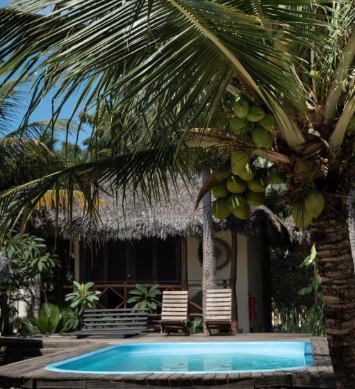 פנסיון Terra Patris