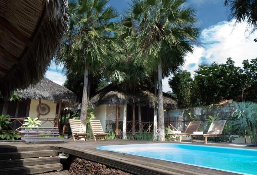 פנסיון Terra Patris