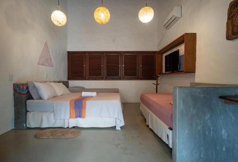 פנסיון Terra Patris