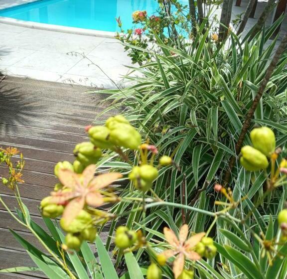 Sono Vitória   Hostel