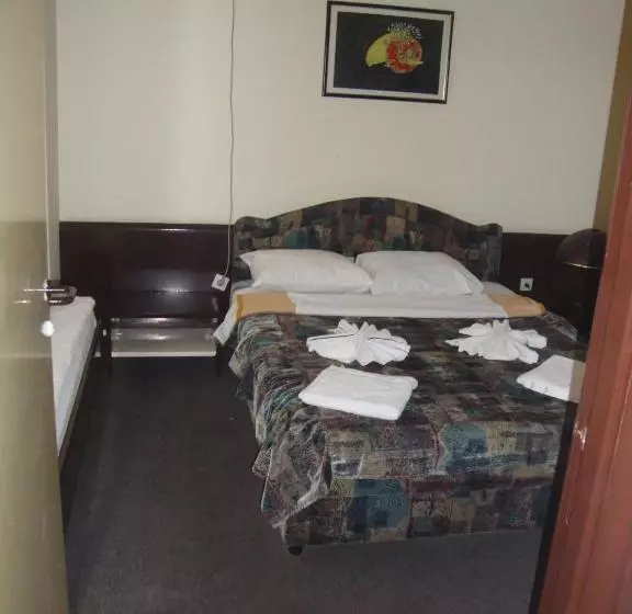 B&b Inex Negotin