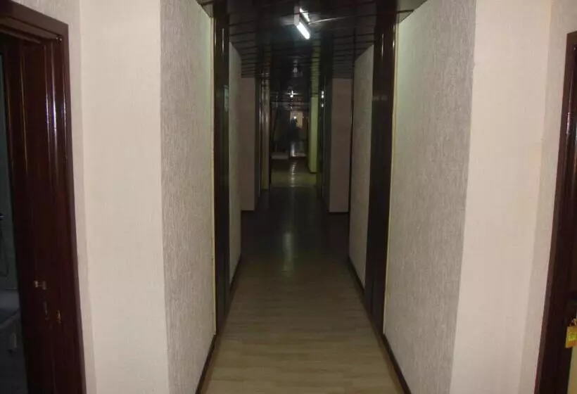B&b Inex Negotin