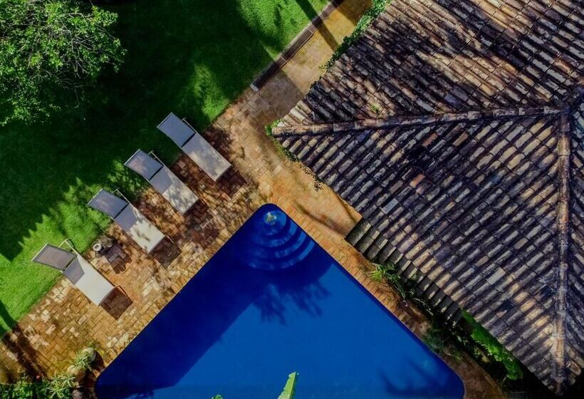 Bed & Breakfast Feiticeira Guesthouse