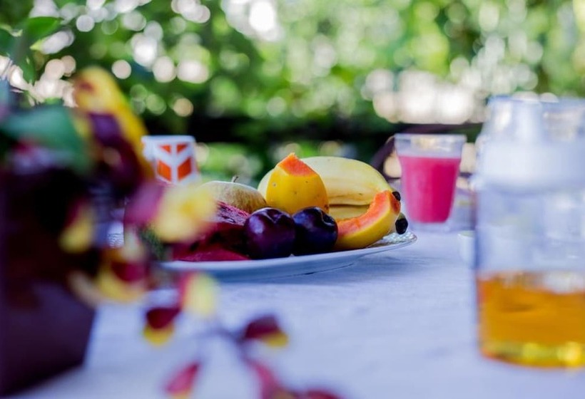 Bed & Breakfast Feiticeira Guesthouse