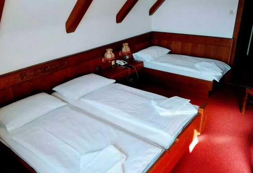 Aamiaismajoitus (B&B) Mosers Pension