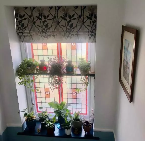 پانسیون Mulberry House